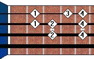 C Major Notes on Neck